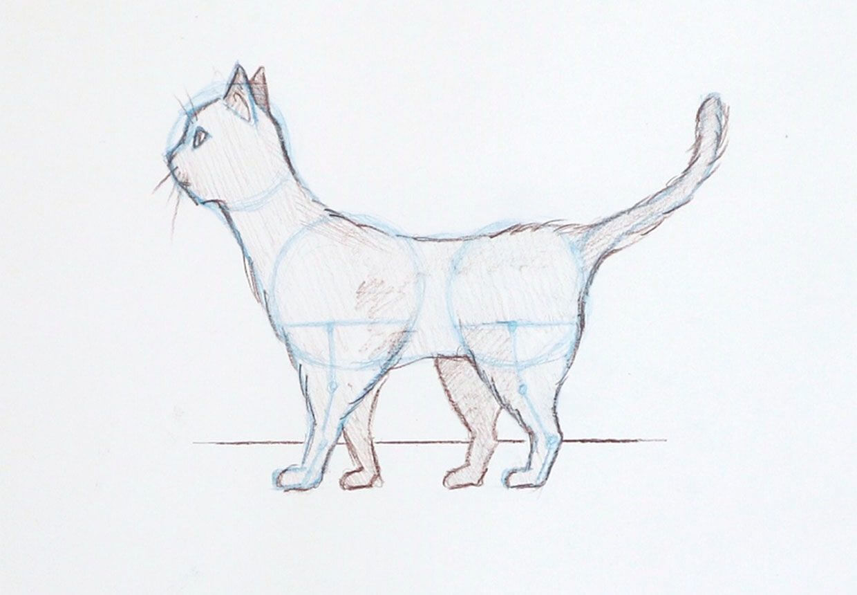 Easy Sketches - Sketch Pictures Of Animals | Animal sketches easy, Easy  animal drawings, Pencil drawings of animals